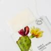 dc_2 YADAH Daily Green Cactus Mask - Drėkinanti Lakštinė Veido Kaukė su Kaktusų Ekstraktu